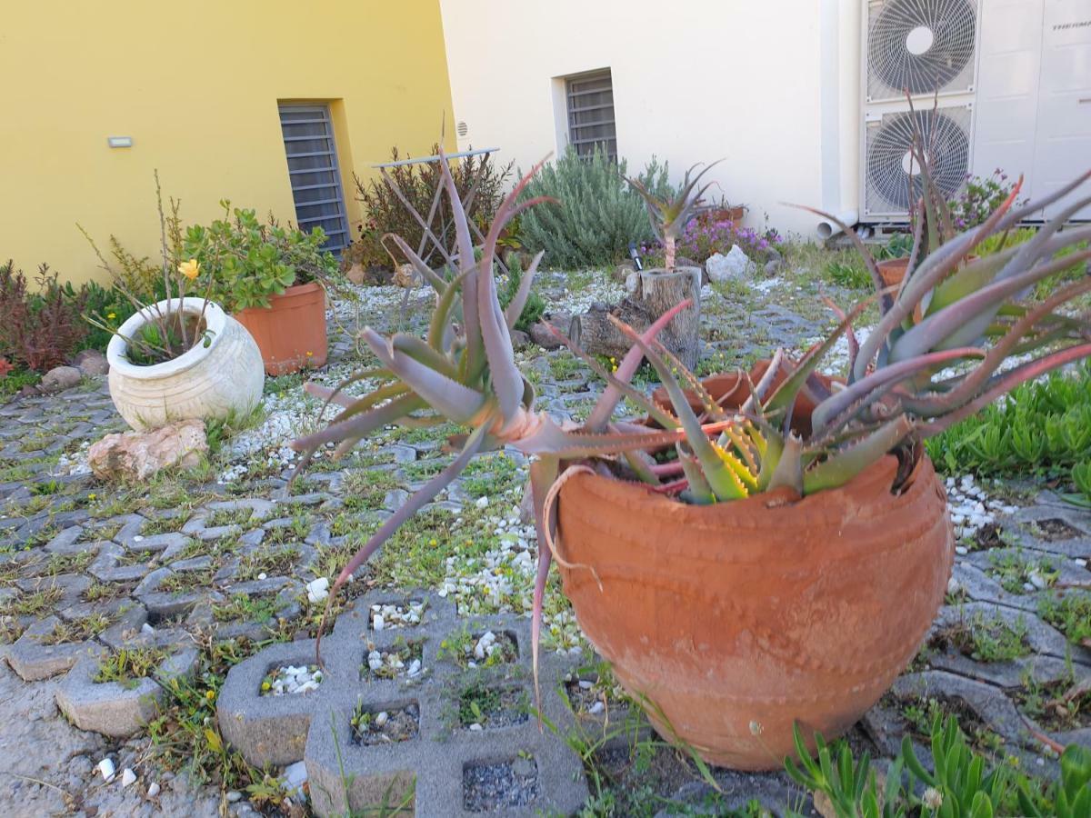 Aegina Bed & Culture Apartment Ngoại thất bức ảnh